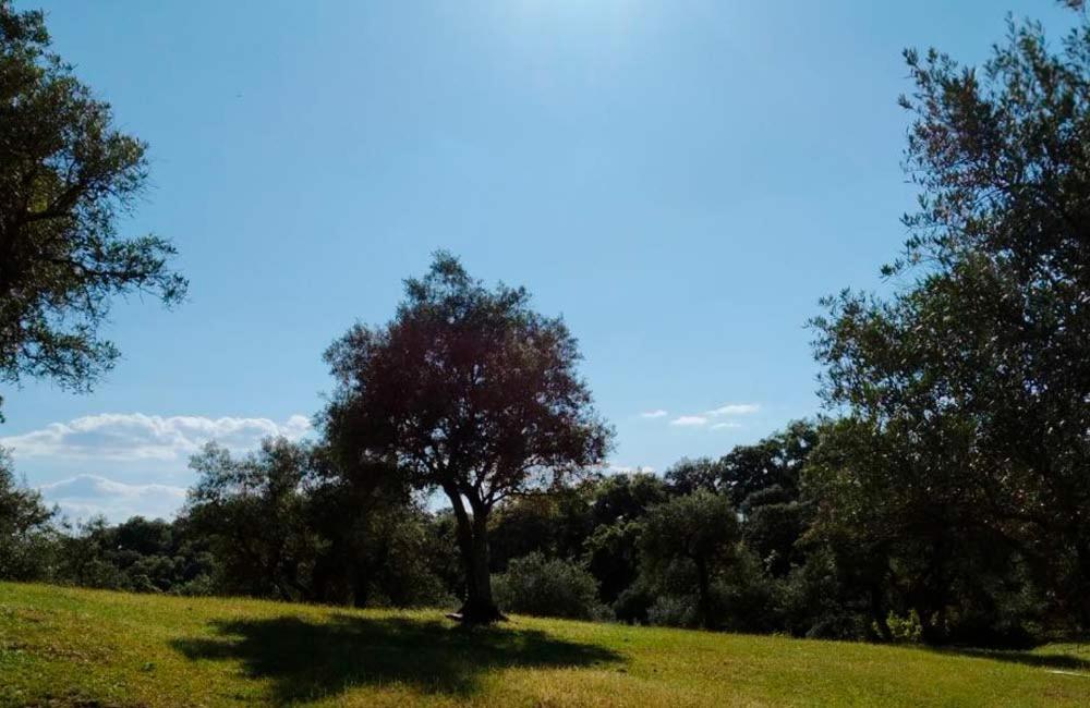 Cortijo Rural Flor De Cazalla Cazalla de la Sierra Bagian luar foto