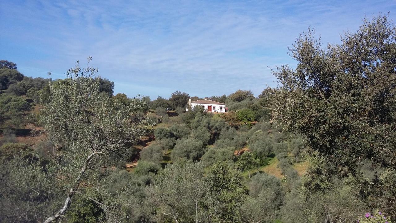 Cortijo Rural Flor De Cazalla Cazalla de la Sierra Bagian luar foto